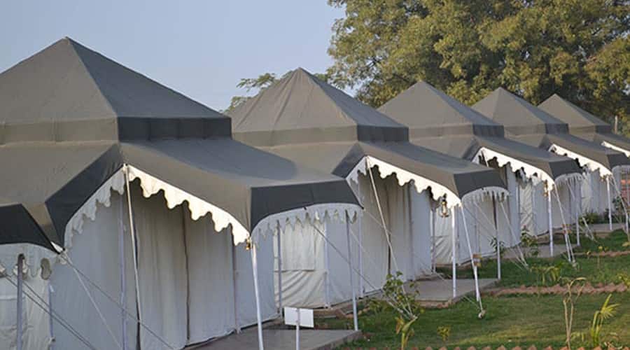 Luxury Wilderness Tented Resort Cum Boutique Hotel, Ranthambore 5
